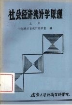 社会经济统计学原理 上