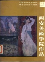 中国高等美术学院学生研究生作品集 西安美术学院作品