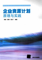 企业资源计划原理与实践