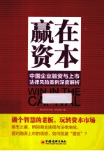 中国企业融资与上市法律风险案例深度解析