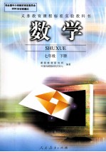 义务教育课程标准实验教科书 数学 七年级 下