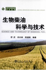 现代生物质能源技术丛书 生物柴油科学与技术