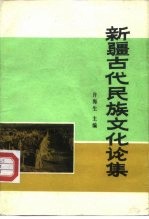 新疆古代民族文化论集