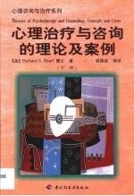 心理治疗与咨询的理论及案例·第2卷