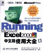 Microsoft Excel 2000中文版使用大全