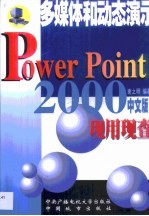 PowerPoint 2000现用现查 最好的多媒体动态演示软件