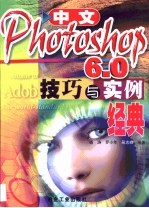 中文Photoshop 6.0技巧与实例经典