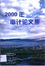 2000年审计论文集