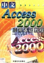 中文Access 2000应用基础教程