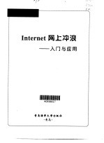 Internet网上冲浪 入门与应用