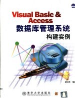 Visual Basic & Access数据库管理系统构建实例