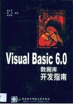 Visual Basic 6.0数据库开发指南