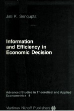 Information and Efficiency in Economic Decision