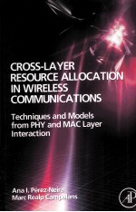 CROSS-LAYER RESOURCE ALLOCATION IN WIRELESS COMMUNICATIONS TECHNIQUES AND MODELS FROM PHT AND MAC LA