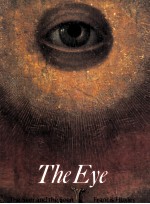 The Eye The Seer and the Seen with 129 illustrations