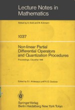 NON-LINEAR PARTIAL DIFFERENTIAL OPERATORS AND QUANTIZATION PROCEDURES