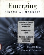 Emerging Financial Markets