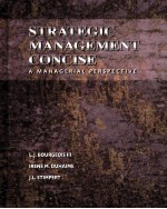 STRATEGIC MANAGEMENT CONCISE A MANAGERIAL PERSPECTIVE