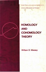 HOMOLOGY AND COHOMOLOGY THEORY：AN APROACH BASED ON ALEXANDER-SPANIER COCHAINS