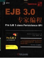 EJB3.0专家编程