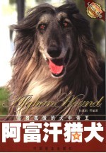 阿富汗猎犬