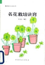 名花栽培诀窍