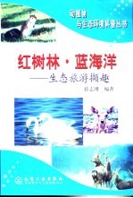 红树林.蓝海洋 生态旅游撷趣