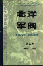 北洋军阀  1912-1928  第三卷  皖系军阀与日本