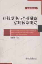 科技型中小企业融资信用体系研究＝Study on the financing credit system of small and medium-sized science and technolog