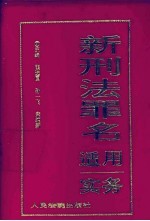 新刑法罪名适用实务 袖珍手册