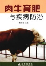 肉牛育肥与疾病防治