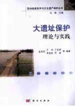 大遗址保护理论与实践