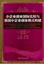 小企业创业国际比较与我国小企业创业模式构建