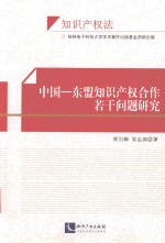 中国-东盟知识产权合作若干问题研究