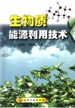 生物质能源利用技术