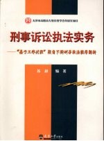 刑事诉讼执法实务 “基于工作过程”视角下的刑事执法程序解析