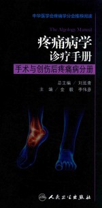 疼痛病学诊疗手册  手术与创伤后疼痛病分册