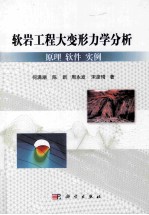 软岩大变形力学分析 原理、软件、实例