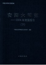 安阳大司空 2004年发掘报告 下