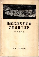 马尾松枕木和坑木密集式赶羊流送