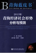 2013年青海经济社会形势分析与预测