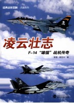 凌云壮志 F-14“雄猫”战机传奇