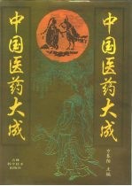 中国医药大成