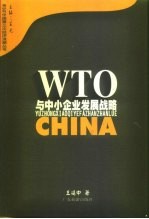 WTO与中小企业发展战略