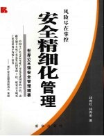 安全精细化管理：世界500强安全管理精要