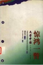 惊鸿一瞥 文学中国 1949-1999