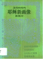 耶稣新画像·耶稣新画像：圣经的批判