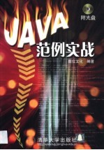 JAVA范例实战