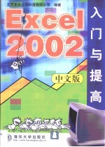 Excel 2002中文版入门与提高