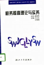 税务稽查理论与实务